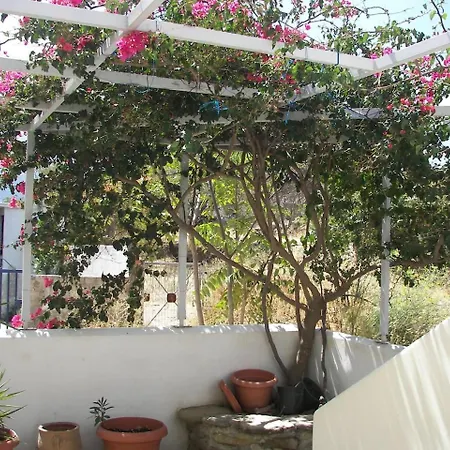 Apartament Traditional And Spacious House *