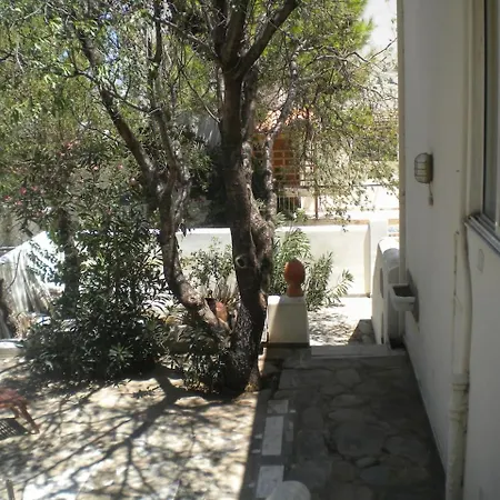 Traditional And Spacious House Apartment *
